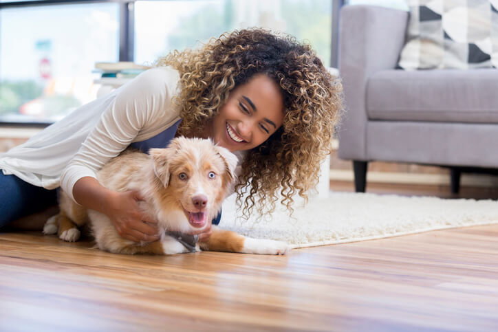 Woman Playing With Pet In Her Apartment